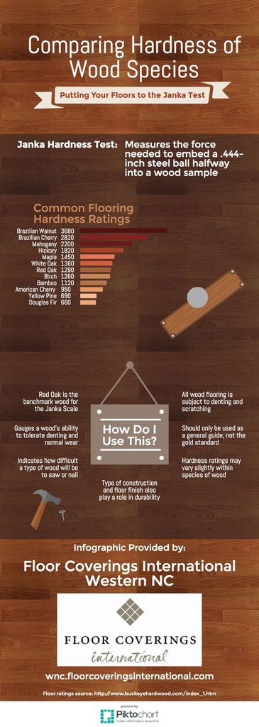 Comparaison de la dureté des essences de bois